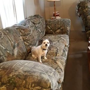 Meet your Posher, Janet